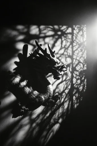 Monochrome Shadow Architecture style reference image — grainy film texture