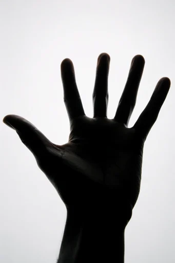 Graphic Avant-Garde Silhouette style reference image — avant-garde fashion photography