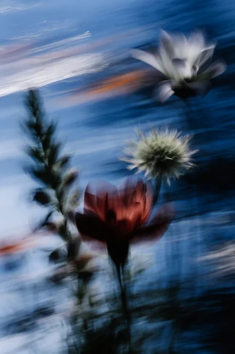 Dynamic Kinetic Velocity style reference image — abstracted action