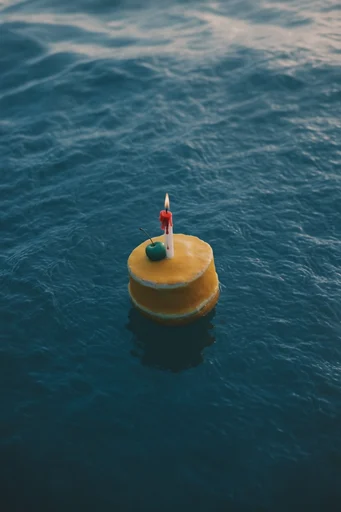 Surreal Minimalist Waterscapes style reference image — vintage film aesthetic