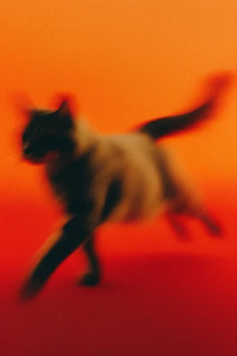 Spectral Amber Motion style reference image — long exposure photography