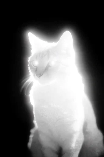 Ethereal Spectral Chiaroscuro style reference image — pitch-black background