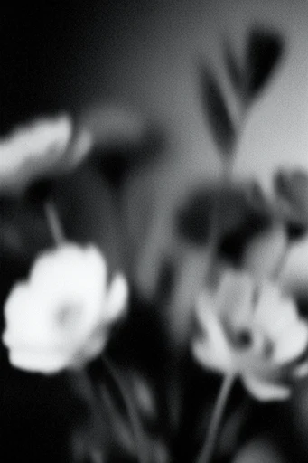 Ethereal Noir Kineticism style reference image — tactile noise texture