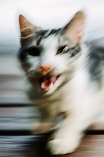 Kinetic Ethereal Velocity style reference image — dynamic action photography