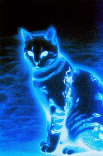 Luminous Cobalt Nocturne style reference image — phosphorescent glow