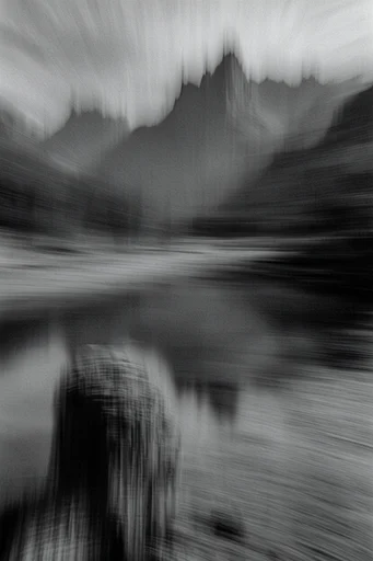 Ethereal Monochrome Kineticism style reference image — high-contrast monochrome