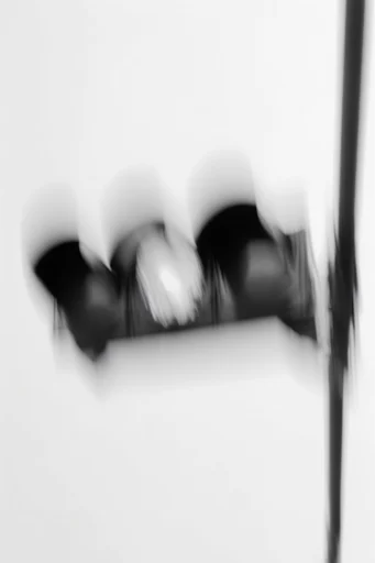 Ethereal Kinetic Monochrome style reference image — fine film grain