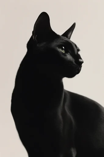 Sculptural Chiaroscuro Minimalism style reference image — sharp geometric contours