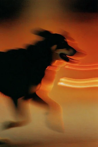 Fiery Kinetic Motion style reference image — dreamy ethereal atmosphere