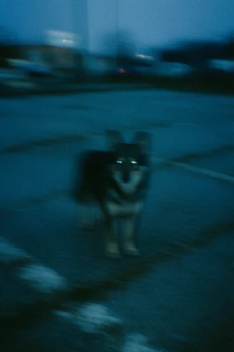 Nocturnal Cinematic Blur style reference image — teal and orange cinematic color grade