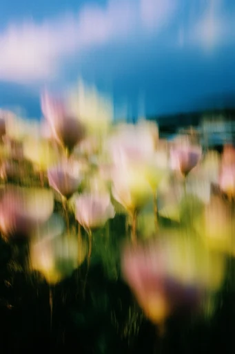 Luminous Motion Impressionism style reference image — ghostly silhouettes