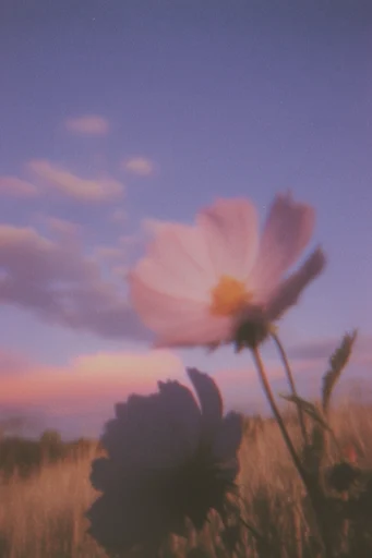 Nostalgic Twilight Dreamscape style reference image — dusty purple and orange palette