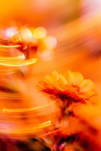 Fiery Kinetic Motion style reference image — analog film grain