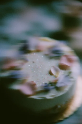 Ethereal Kinetic Impressionism style reference image — nostalgic pictorialism