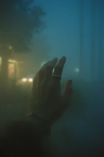 Cinematic Foggy Mysticism style reference image — muted moody colors