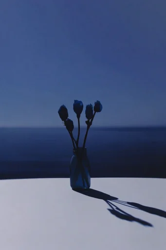 Nocturnal Ultramarine Minimalism style reference image — long sharp shadows