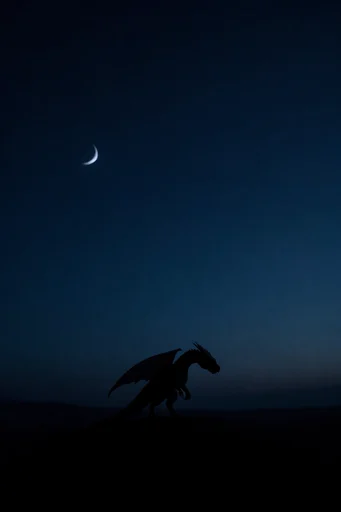 Minimalist Nocturnal Silhouettes style reference image — high-contrast lighting