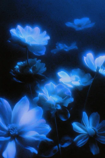 Electric Cobalt Noir style reference image — ethereal spectral atmosphere