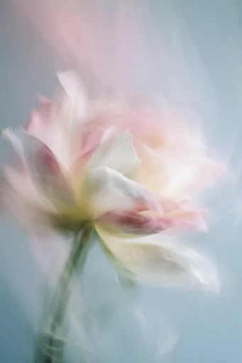 Ethereal Kinetic Nostalgia style reference image — painterly texture