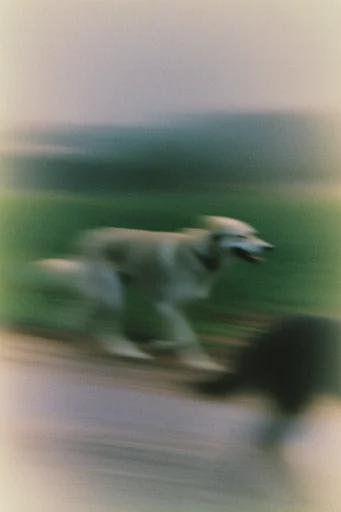 Ethereal Motion Impressionism style reference image — muted desaturated palette