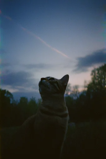Nocturnal Twilight Melancholy style reference image — chromatic aberration