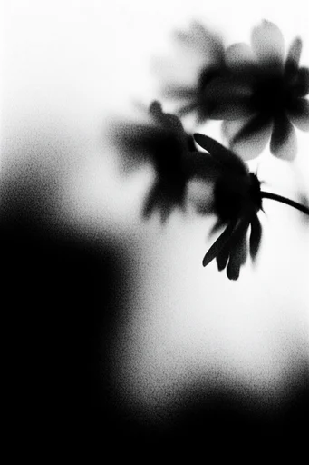 Ethereal Grain Noir style reference image — lo-fi analog aesthetic