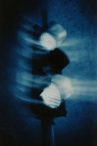 Ethereal Nocturnal Motion style reference image — ethereal bioluminescent glow