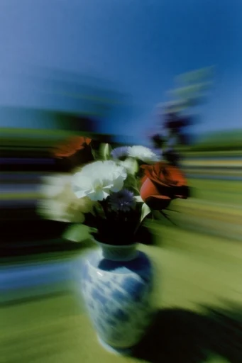 Kinetic Radiant Motion style reference image — intentional camera movement