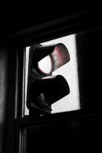 Cinematic Monochrome Noir style reference image — high-contrast monochrome
