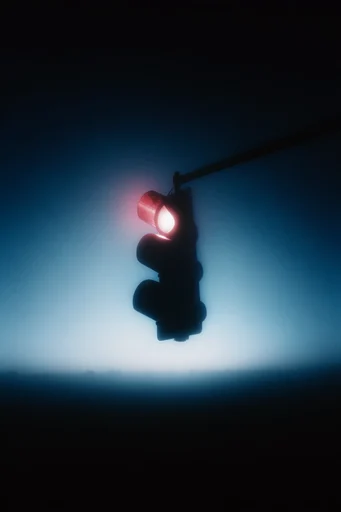 Cinematic Nocturnal Silhouette style reference image — atmospheric fog