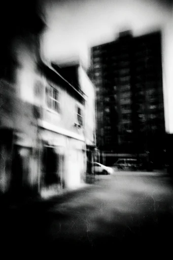 Monochrome Spectral Noir style reference image — high-contrast monochrome
