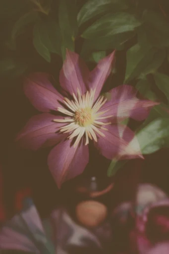 Ethereal Analog Decay style reference image — desaturated jewel tones