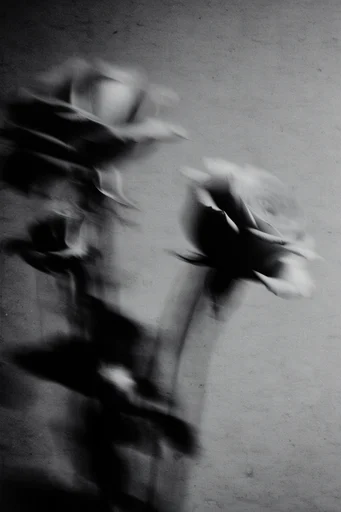 Kinetic Spectral Noir style reference image — dark atmospheric noir