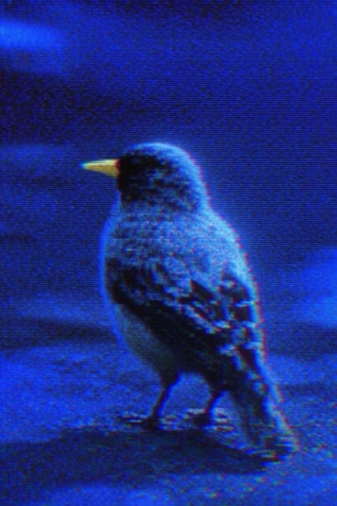 Analog Glitch Melancholy style AI image example 3