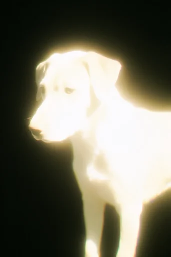 Spectral Neon Luminescence style reference image — luminous bloom