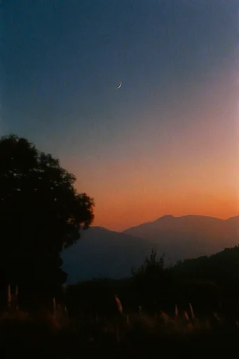 Ethereal Twilight Nostalgia style reference image — dreamy silhouette