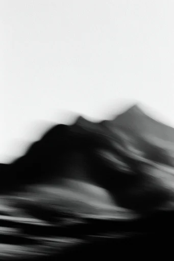Kinetic Monochrome Abstraction style reference image — high-contrast monochrome