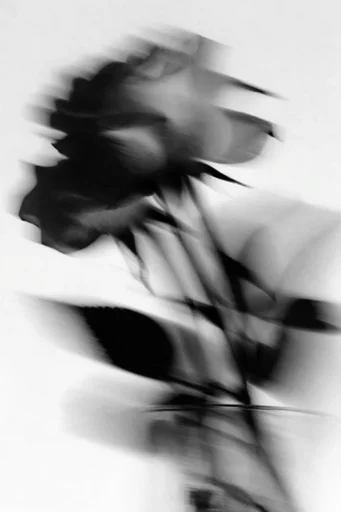 Kinetic Ghostly Monochrome style reference image — heavy film grain