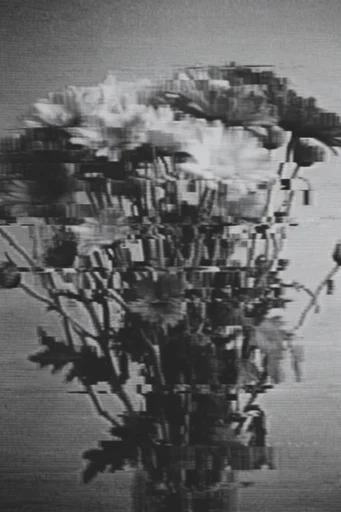 Monochrome Glitch Noir style reference image — liminal surveillance aesthetic