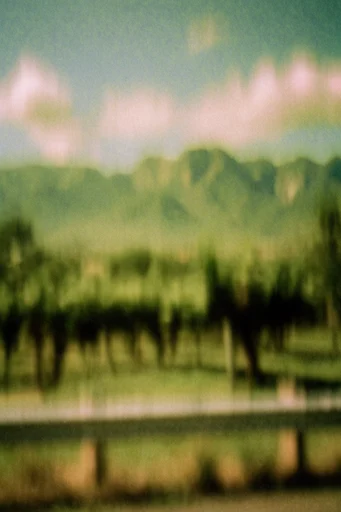Ethereal Pastoral Impressionism style reference image — dissolving edges