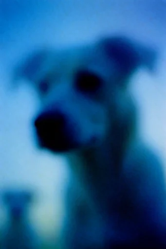 Ethereal Liminal Haze style reference image — bleeding gradients