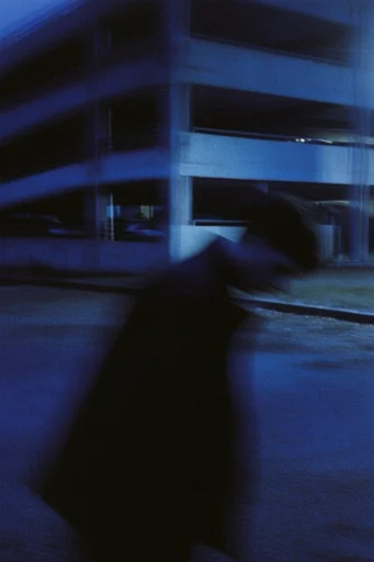 Nocturnal Spectral Blur style reference image — extreme film grain