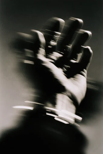Kinetic Cinematic Noir style reference image — shutter drag