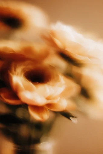 Ethereal Motion Portraits style reference image — pictorialism