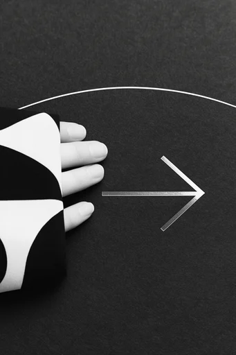 Monochromatic Avant-Garde Noir style reference image — minimalist geometric composition