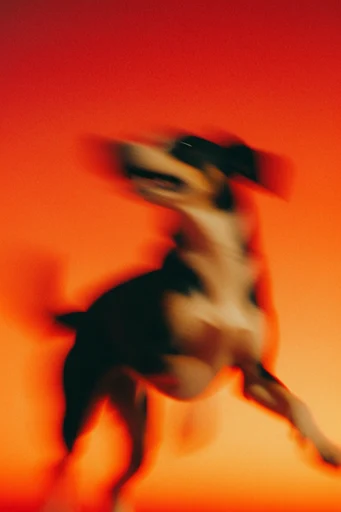 Spectral Amber Motion style reference image — high contrast spectral