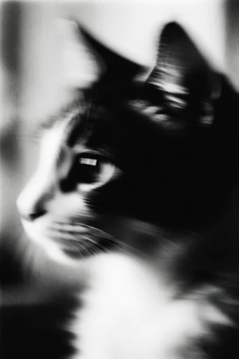 Kinetic Spectral Noir style reference image — distressed texture