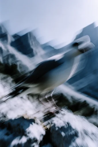 Dynamic Kinetic Impressionism style reference image — motion blur