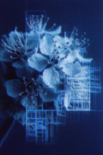 Digital Blueprint Noir style reference image — surveillance grain