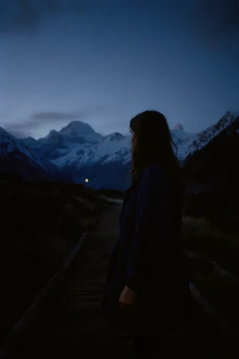 Cinematic Nocturnal Twilight style reference image — cinematic twilight